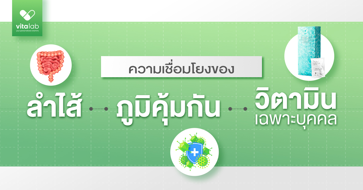 ลำไส้กับภูมิคุ้มกันเกี่ยวกันอย่างไร? | วิตามินเฉพาะบุคคลควรเริ่มจากอะไร